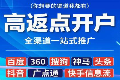 竞价端口开户后的广告投放策略案例